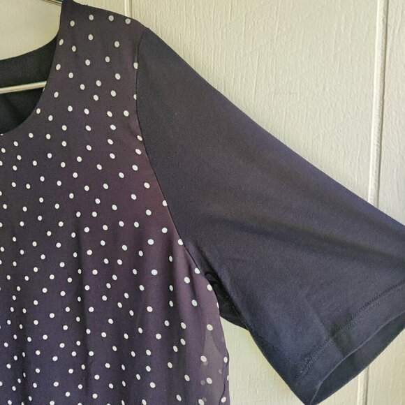 Ann Taylor black & white polka dot tee. Breezy sheer overlay high to low. SZ L - Picture 1 of 8